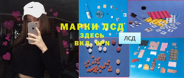 индика Алексин