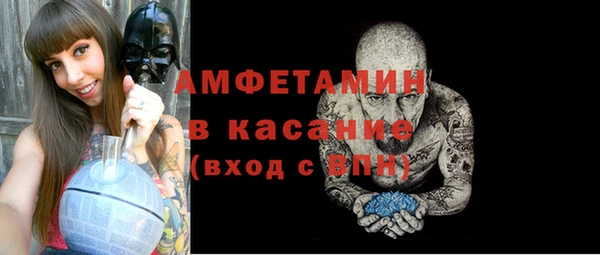 индика Алексин