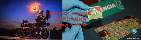 индика Алексин