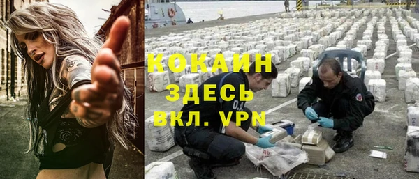 индика Алексин