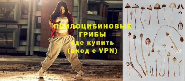 индика Алексин