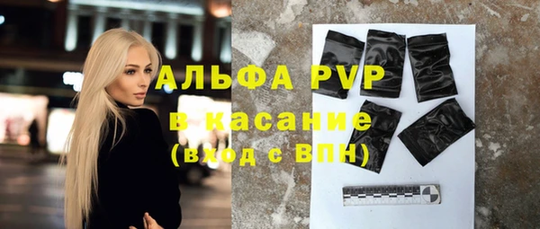 индика Алексин